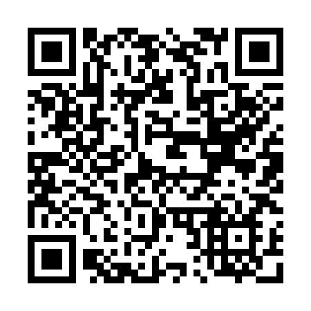 QR code for T29-38N