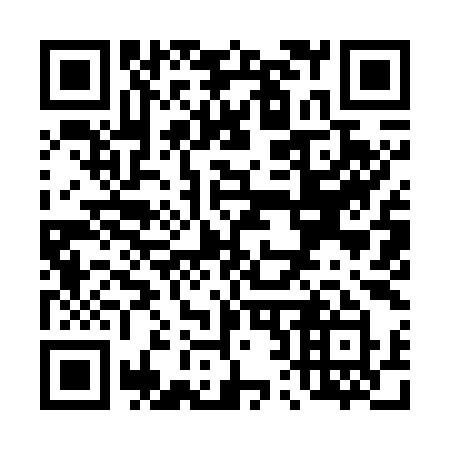 QR code for T29-79Y