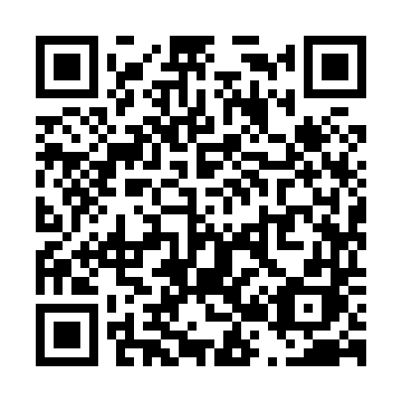 QR code for T29-84H