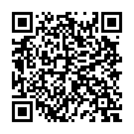 QR code for T2905M