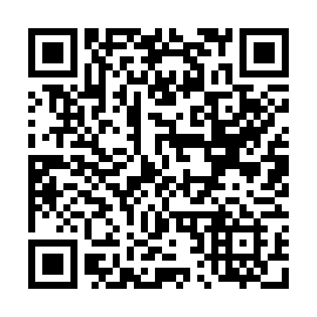 QR code for T2936I