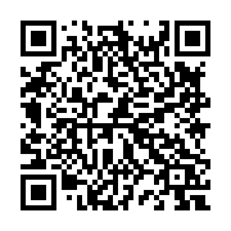 QR code for plate T29-80S