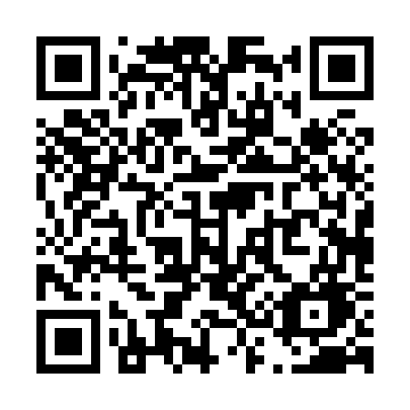 QR code for T30-87G