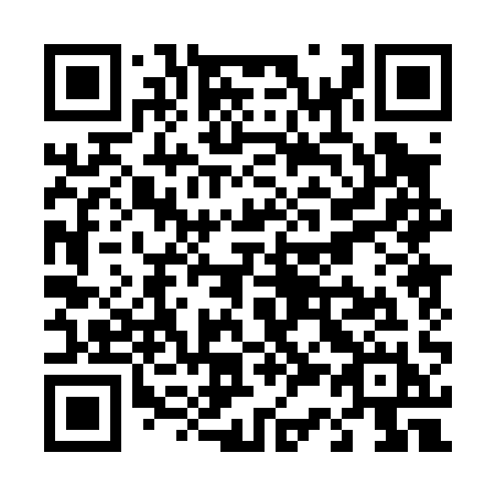 QR code for plate T30-01H
