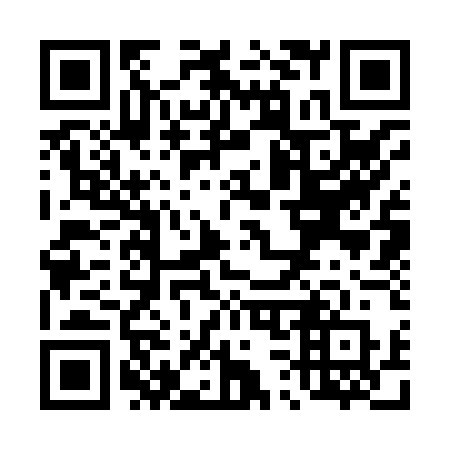 QR code for T33-85R