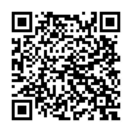 QR code for plate T33-50W