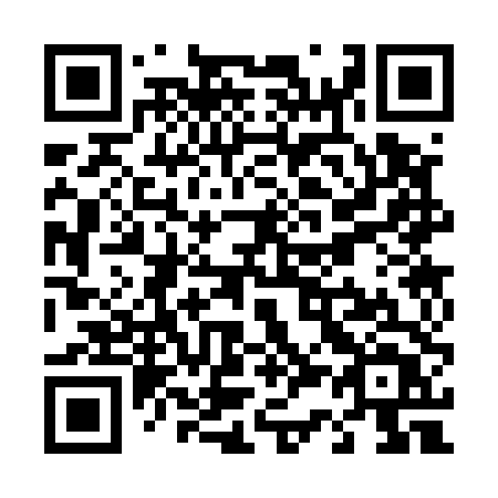 QR code for plate T33-54T