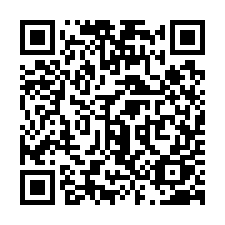 QR code for T3375P