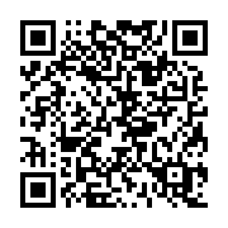 QR code for T3383D
