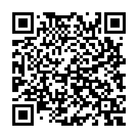 QR code for T3413Q