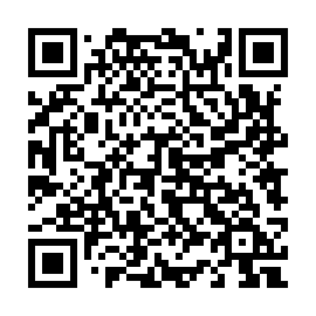 QR code for T3493F