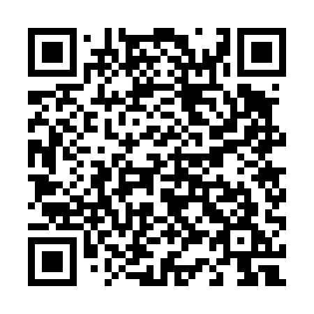 QR code for T3741G