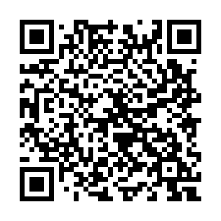 QR code for T38-11G