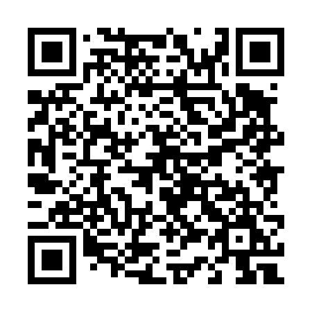 QR code for T38-46M