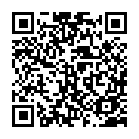 QR code for T38-85E