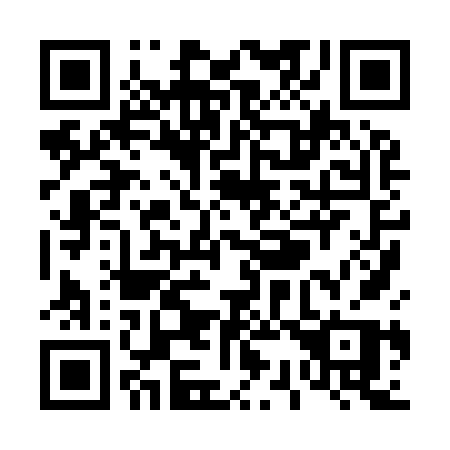 QR code for T38-96P