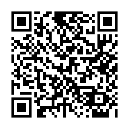 QR code for T3828Y