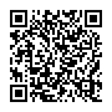 QR code for T3996Z
