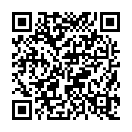 QR code for T41-17H