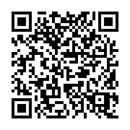 QR code for T4119P