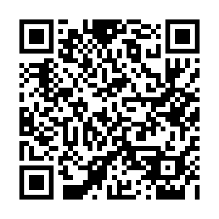 QR code for T4203I