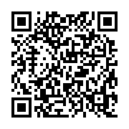 QR code for T43-38N