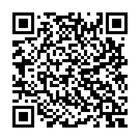 QR code for T4313F