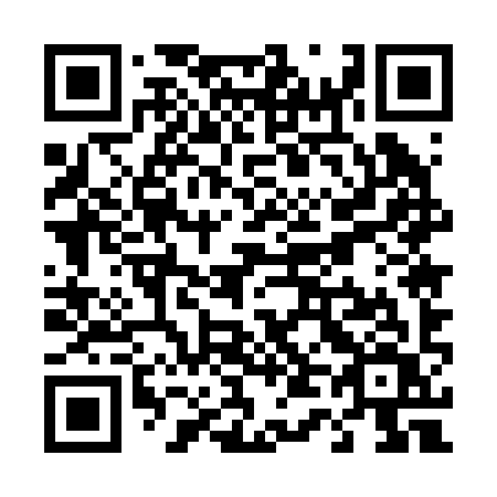 QR code for T4529V