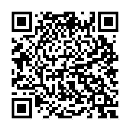 QR code for plate T45-32E