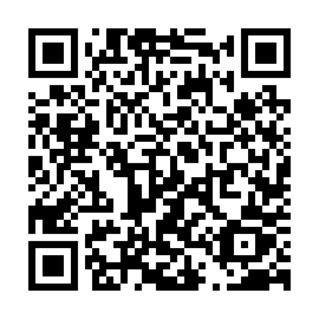 QR code for T46-20Z