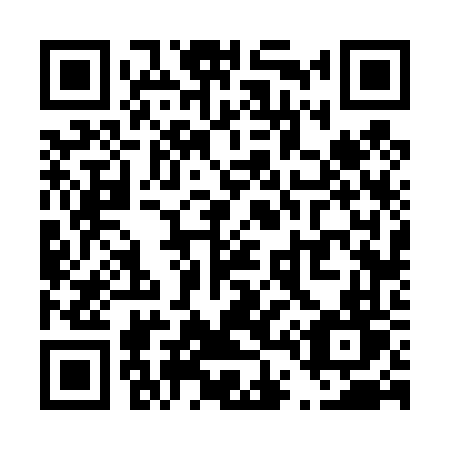 QR code for T46-46T