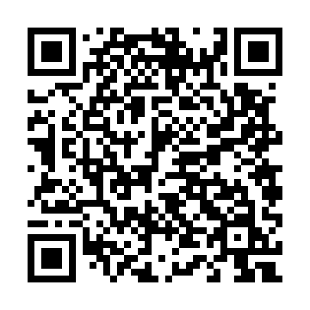 QR code for T46-51N