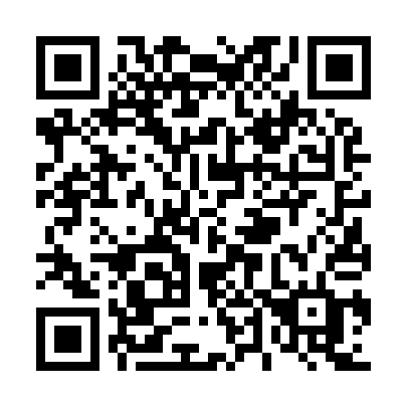 QR code for T46-91D
