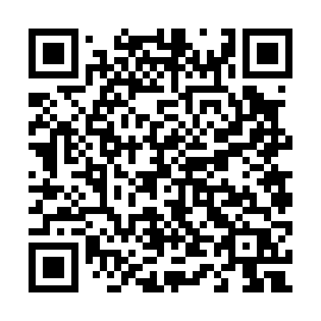 QR code for T4606P