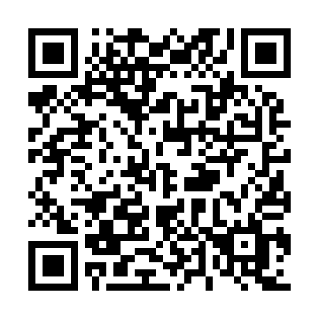 QR code for plate T46-91L