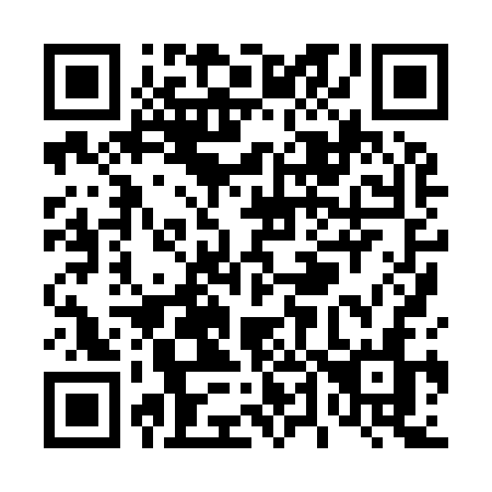 QR code for T4893N