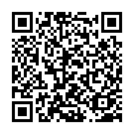 QR code for T49-30Q