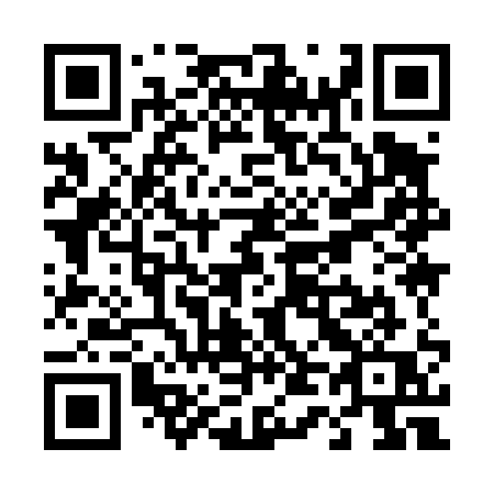 QR code for T49-41Q