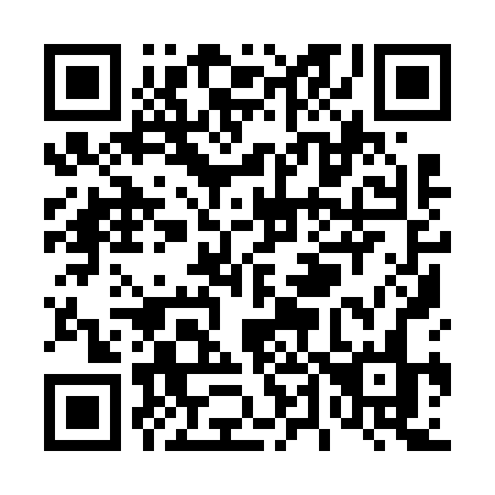 QR code for T49-62N