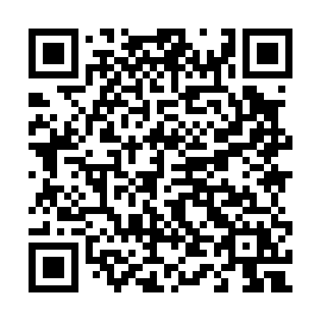QR code for plate T49-05X