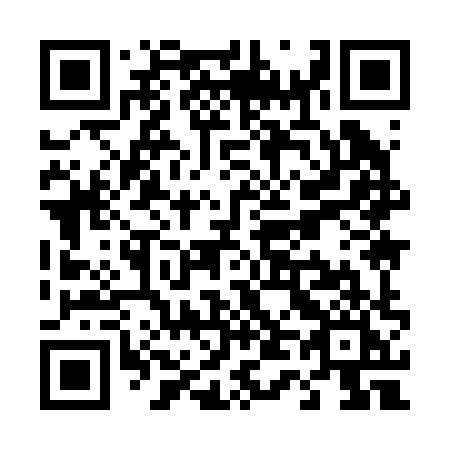 QR code for plate T49-28I