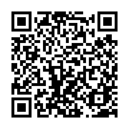 QR code for T4960C