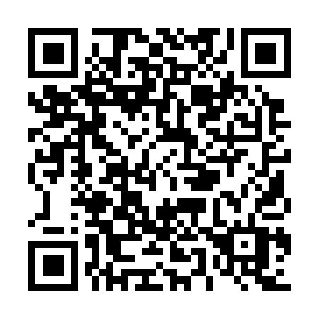 QR code for T51-31T
