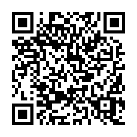 QR code for plate T51-89V