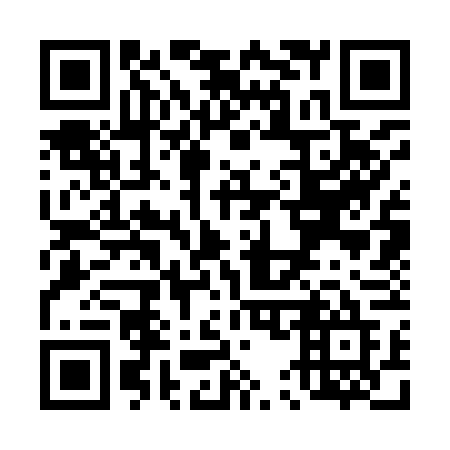QR code for T53-96E