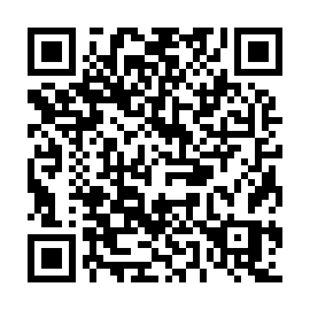 QR code for T53-96S