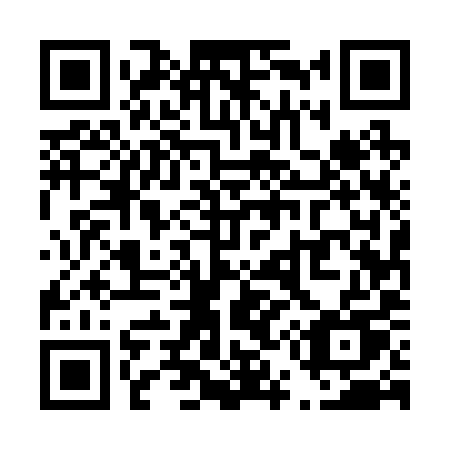 QR code for T55-29U