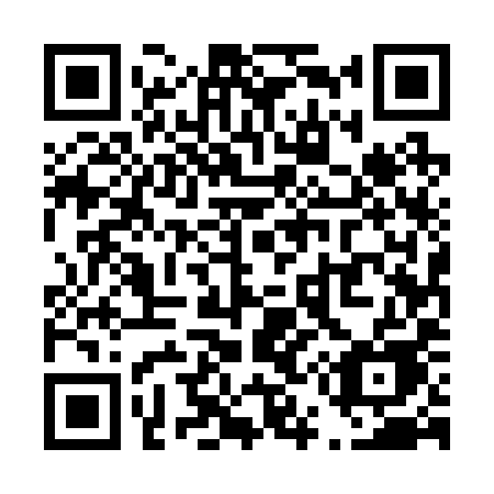 QR code for plate T55-29E