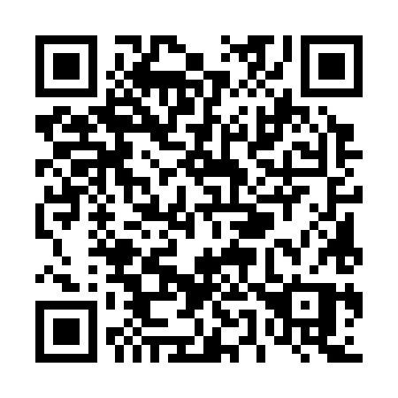 QR code for plate T55-38P