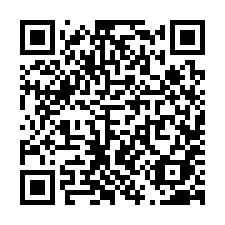 QR code for T5638I